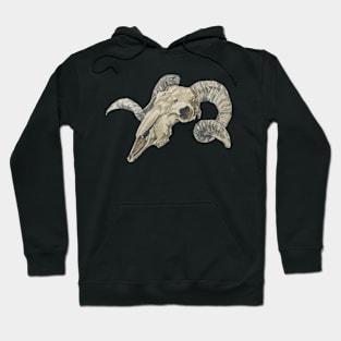 Ram Skull Hoodie